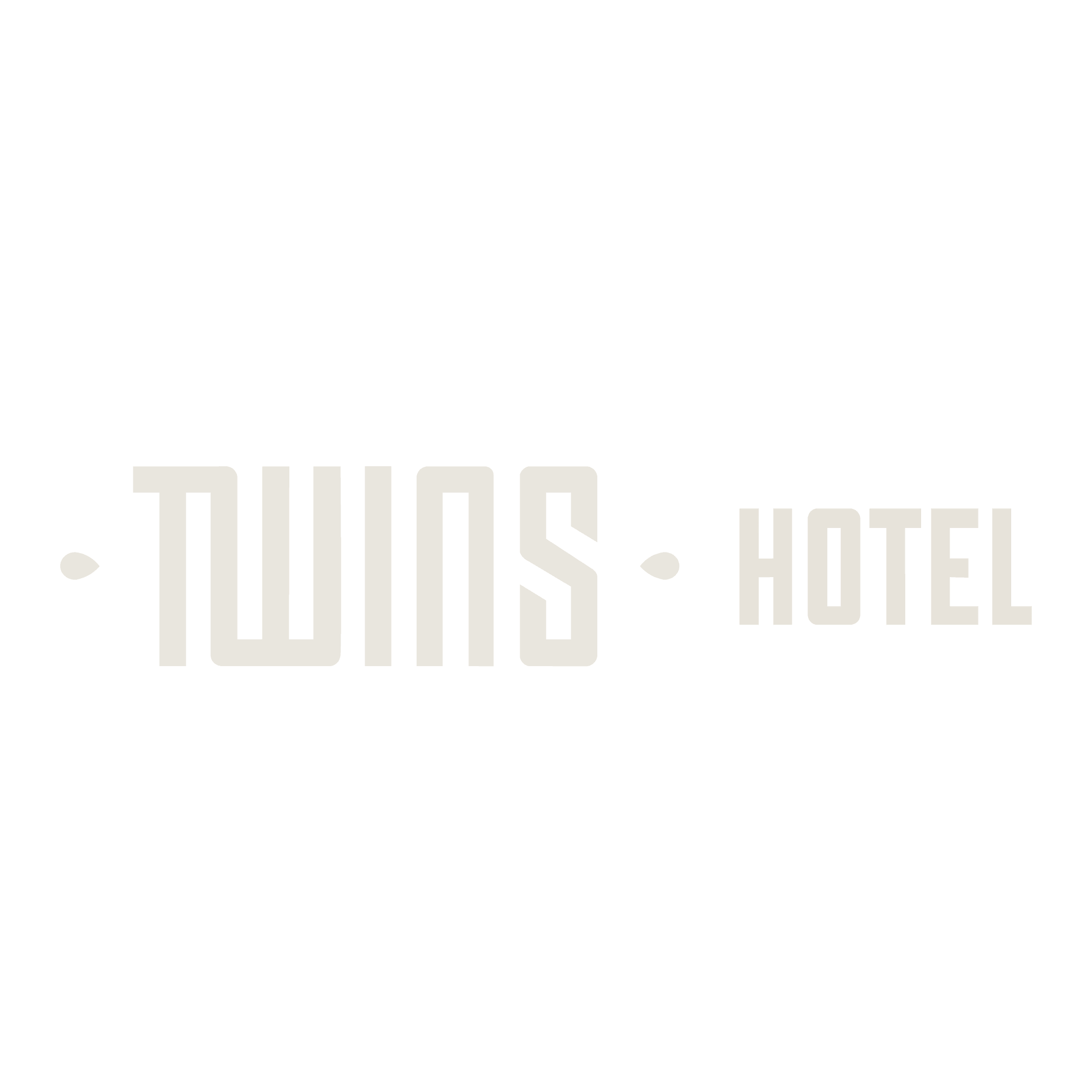 Twins Logo